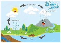 the water cycle is shown in this diagram, and shows how it's different stages