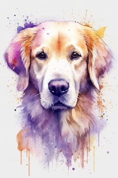 Watercolor Golden Retriever, bundle, commercial use, watercolor golden retriever clipart, dog digital png clipart, dog digital art Golden Watercolor, Golden Retriever Tattoo Ideas, Dog Watercolor, Watercolor Golden Retriever, Golden Retriever Tattoo, Golden Retriever Drawing, Golden Retriever Watercolor, Golden Retriever Painting, Perros Golden Retriever