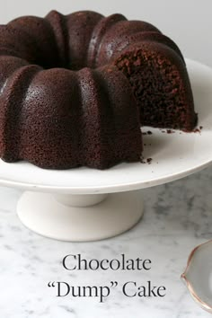 a chocolate bundt cake on a white plate