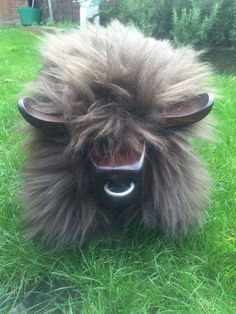 a furry animal with horns on it's head laying in the grass