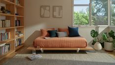 a living room with a couch, bookshelf and potted plants in it