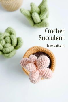 crochet succulents in small baskets with text overlay that reads, crochet succulent free pattern