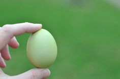 a person holding an egg in their hand