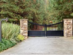 a gated driveway leading into a lush green forest