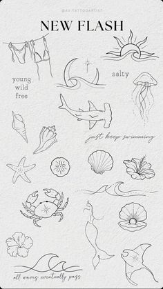 Sand Dollar Fine Line Tattoo, Dainty Tattoo Drawings, Small Tattoos Sea Ocean, Mako Shark Tooth Tattoo, Summer Tiny Tattoo, Starfish Behind Ear Tattoo, Small Coconut Tattoo, Tattoo Ideas Aesthetic Small, Out Of The Box Tattoo Ideas Cute Small Ocean Tattoos, Small Tattoo Beach, Summer Fine Line Tattoo, Seashell Stamp Tattoo, Sand Dollar Fine Line Tattoo, Mako Shark Tooth Tattoo, Summer Tiny Tattoo, Tiny Florida Tattoo, Fish Tatoos Woman