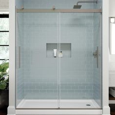 a bathroom with a glass shower door and white tile on the walls, along with a potted plant