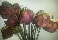 a bunch of dried flowers in a vase