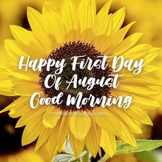 a sunflower with the words happy first day c'august good morning on it