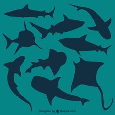 the silhouettes of sharks are shown against a blue background