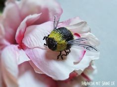 a yellow and black bee sitting on top of a pink flower