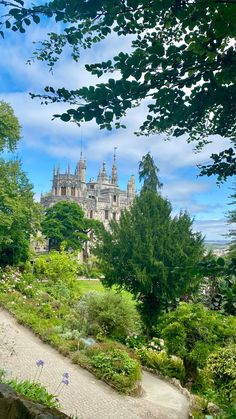 the castle is surrounded by lush green trees