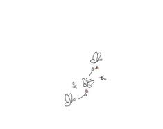 a line drawing of butterflies flying in the sky