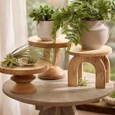 three potted plants sitting on top of wooden stands