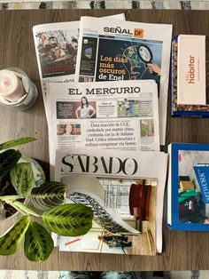 newspapers and magazines on a table next to a potted plant