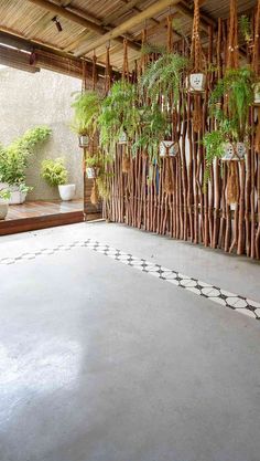 a room with plants hanging from the ceiling