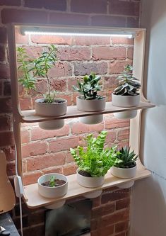 several potted plants sit on shelves in front of a brick wall