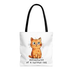 an orange cat with the words adventures of a curious cat on it