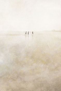 three people walking in the water on a foggy day