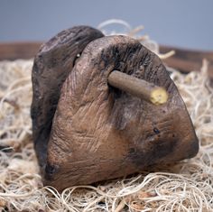 an old rock with a wooden stick sticking out of it's side sitting on some shredded up wood