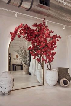 red flowers are in vases next to a mirror