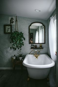 a white bath tub sitting next to a mirror in a bathroom under a plant on the wall