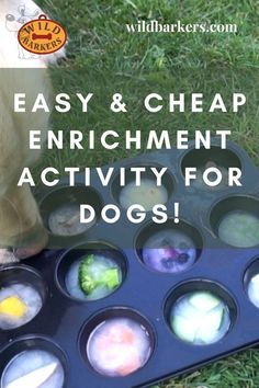 an easy and cheap enrichment activity for dogs