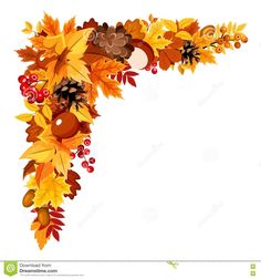 an autumn border with leaves and acorns stock photo - image 349784