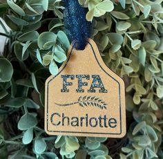 a tag hanging from the top of a plant with leaves around it that says, fa charlotte