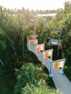 an aerial view of the walkway leading to several colorfully painted benches and palm trees