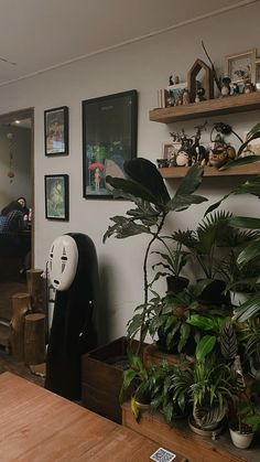 a room filled with plants and pictures on the wall