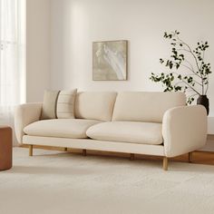 a living room scene with focus on the sofa