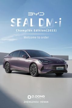 the new car is shown in front of a blue sky with clouds and words that read seal dm1 champion edition 202 welcome to order