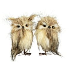 two small birds with very long hair on their legs and eyes are standing next to each other