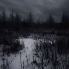 a black and white photo of snow covered ground with trees in the backgroud