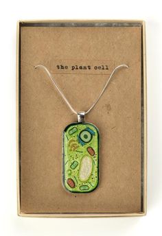 Designed and handmade in Cambridge, UK. Inspired by diagrams of plant cells, these pendants represent a ‘slice of life’, preserved forever in resin. Each piece is hand crafted using paints, polymer clay components, wire, glitter, microbeads, light reflective fibres and resin. For a smaller version of this pendant, please see my other listing here: https://www.etsy.com/uk/listing/693971727The various identifiable elements in each pendant are as follows:Nucleus, Golgi Apparatus, Golgi Vesicles, Mi Golgi Apparatus, Biology Jewelry, Plant Cells, Cambridge Uk, Science Jewelry, Art Necklace, Plant Cell, Art Necklaces, Funky Jewelry