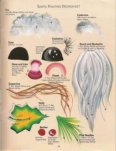 an open book with different types of hair and other things to see in the page