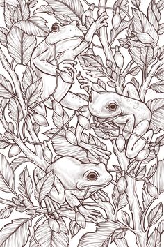 an ink drawing of two frogs in the leaves