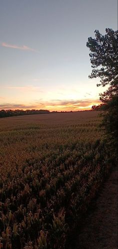 the sun is setting over an open field