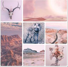 there are many different pictures with animals in the same photo, including mountains and desert