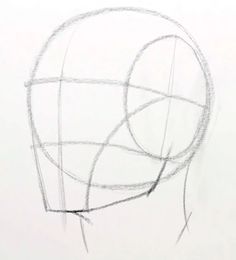 a drawing of a person's head with lines drawn on the top and bottom