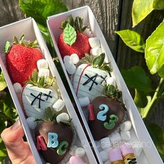 two boxes filled with chocolate covered strawberries and marshmallows