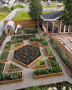 an aerial view of a vegetable garden with lots of plants in the center and several raised beds on each side