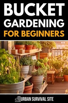 a book cover with potted plants and the title bucket gardening for beginners by urban survival site