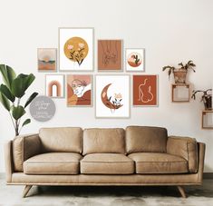 a couch sitting in front of a wall with pictures on the wall and a potted plant next to it