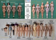 a group of dolls with different body shapes and sizes on display next to each other