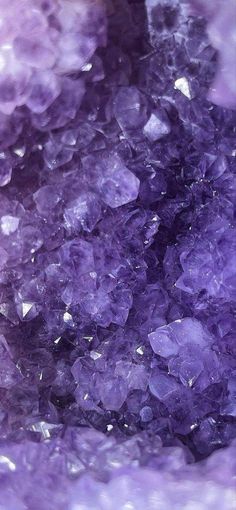 purple crystals are shown in this close up photo