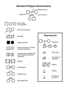 a diagram with the symbols for different types of furniture and their names in black on white