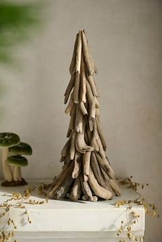 a small tree made out of driftwood sitting on top of a table next to mushrooms