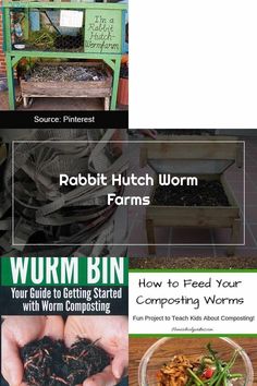 the book cover for how to feed your composting worms by robin hutch wormm