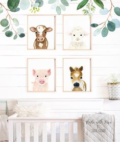 four framed animal pictures hang on the wall above a crib